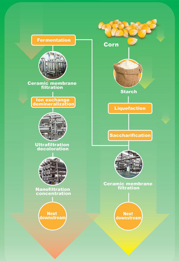 glucose syrup glucose syrup