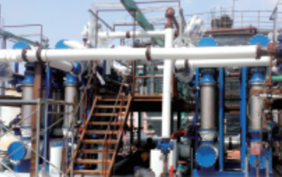 Application of Membrane Integration Technology in Enzymatic Peptide Production Process